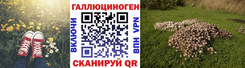 где купить наркоту  Новая Ляля  Галлюциногенные грибы MAGIC MUSHROOMS 